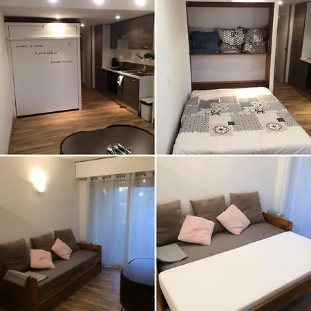 Apartment Studio 4 Personnes Proche Commerces 74978