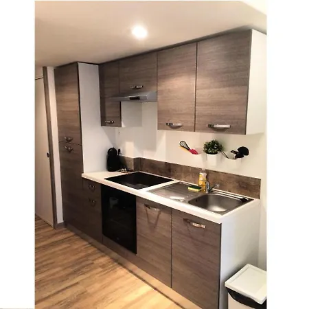 Studio 4 Personnes Proche Commerces 74978 *
